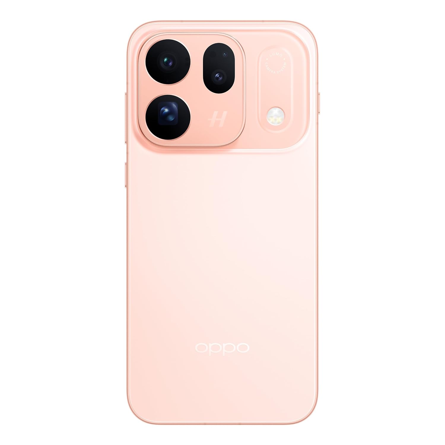 61nzAfxjoL._SL1500_.jpg